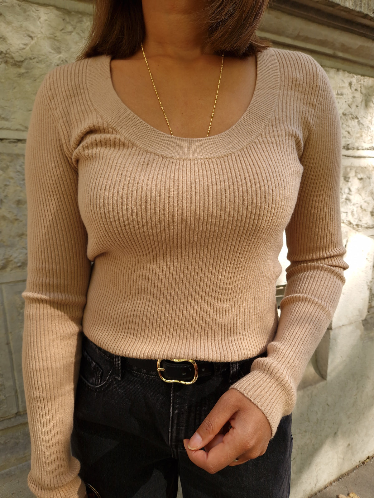 Pull Dario camel